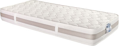 ������ Bedding Industries SanFlex H25 ������� (����, ��� 1)