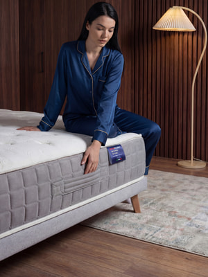 ������ Sealy Florida (����, ������ Sealy Florida 12)