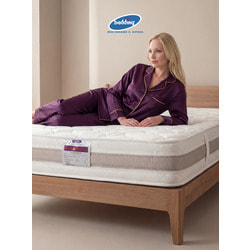 ������ Bedding Industries SanFlex H25. ��� 2